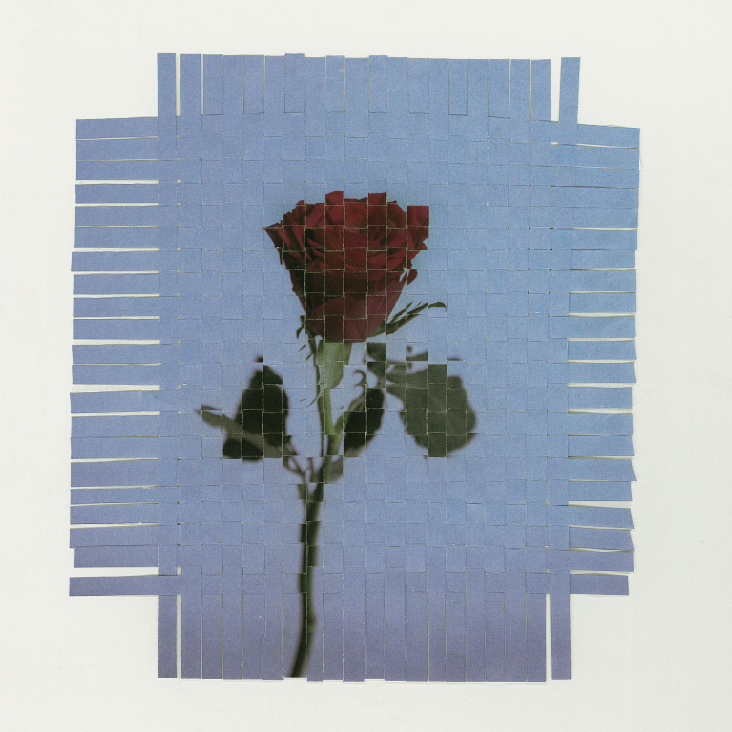 新曲「The rose」10月22日リリース！
ショートサイズ音源がSNSにて先行配信スタート！