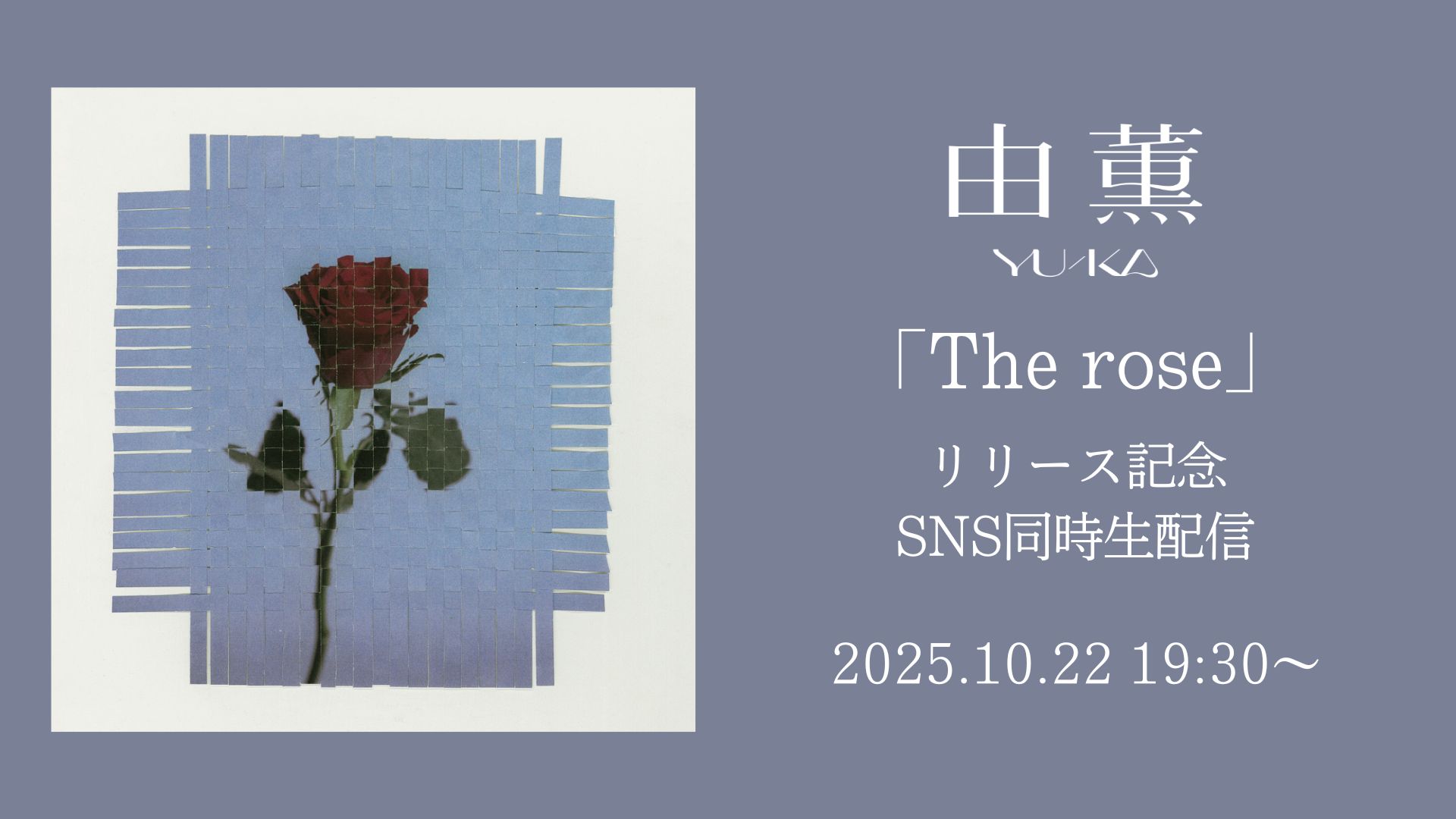 新曲「The rose」 配信リリース！