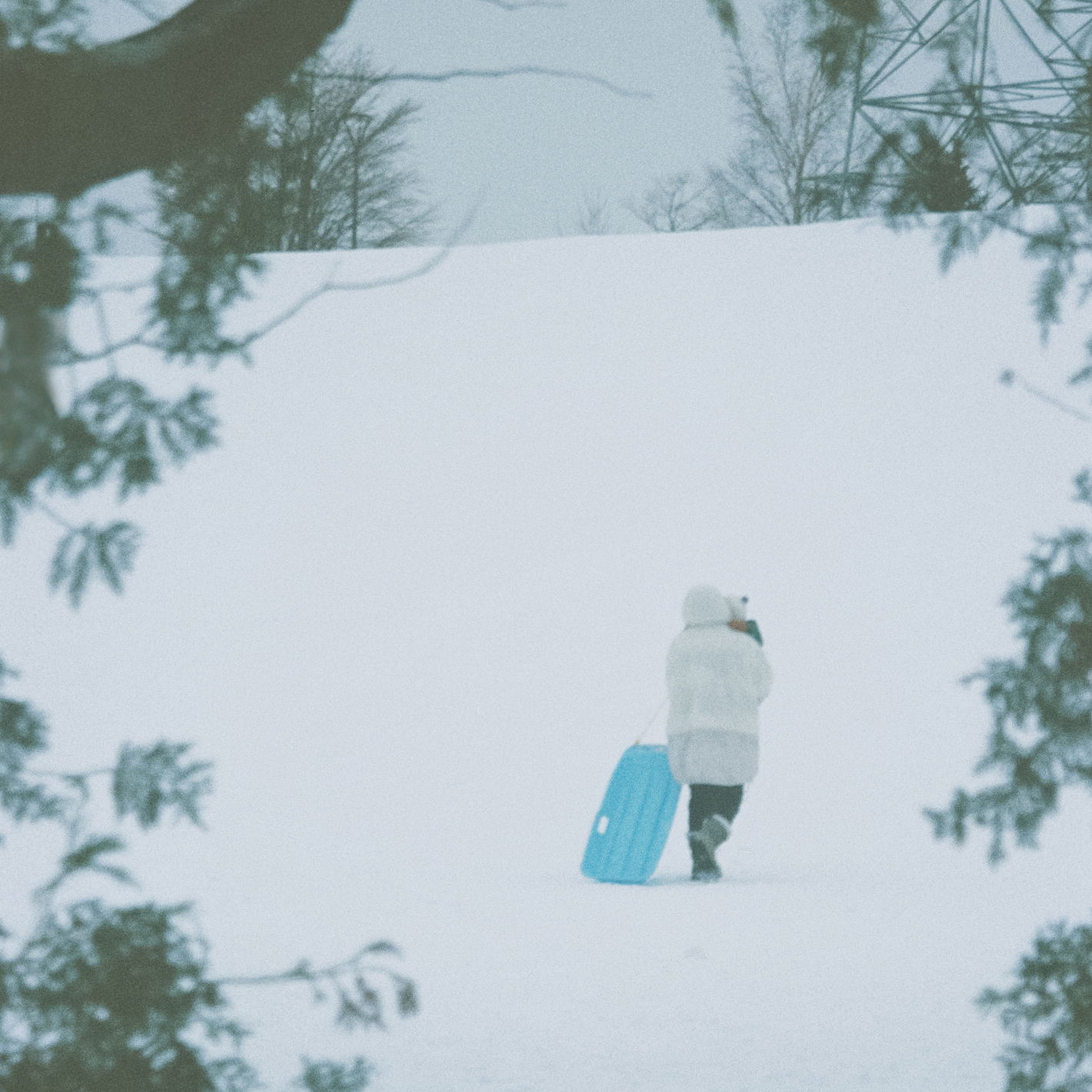 新曲「echo」1月21日配信リリース決定！
ジャケット写真も公開！