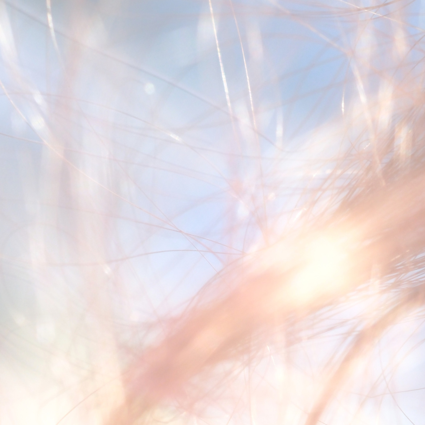 新曲「Ray」3月20日配信リリース決定！
本日よりショートサイズ音源をSNSにて先行配信スタート！